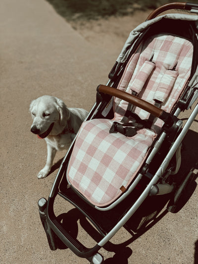 Dusty Blush & Dusty Blush Gingham Linen Vista V2 & 3 Pram Liner