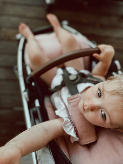 Dusty Blush & Dusty Blush Gingham Linen Vista V2 & 3 Pram Liner